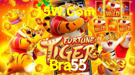Bra55,Bra55 Paga