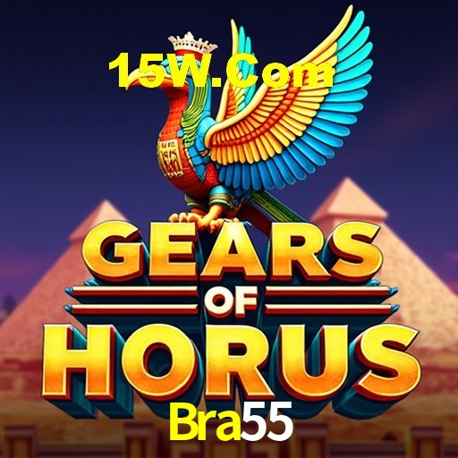 Programa VIP Bra55